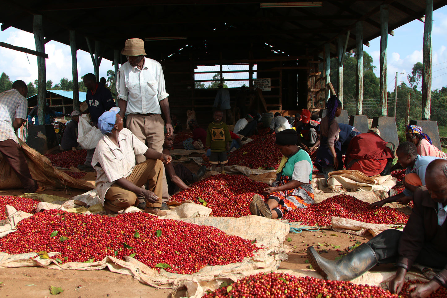 KENYA Uteuzi Jimbo - Kiambu