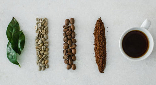 a seed-to-cup journey worth knowing.