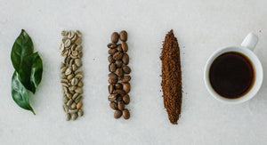 a seed-to-cup journey worth knowing.