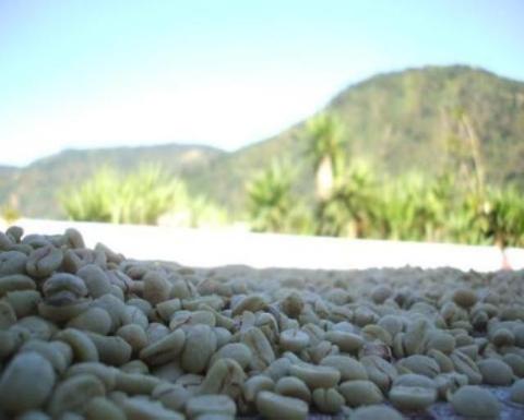 The Juan Ana Coffee program helps small independent coffee producers by buying their highest quality coffee at above market prices. The coffee is processed locally and exported by San Lucas Mission Toliman. 